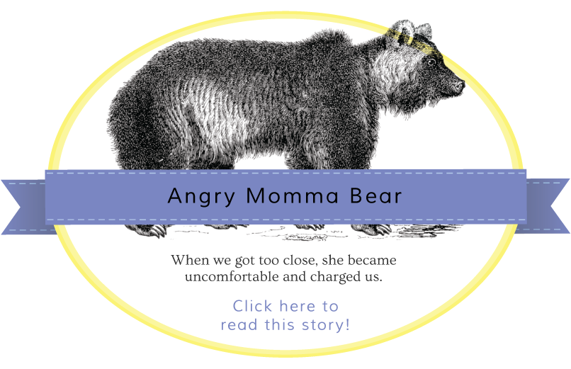 Angry Momma Bear Gentle Nudges story banner