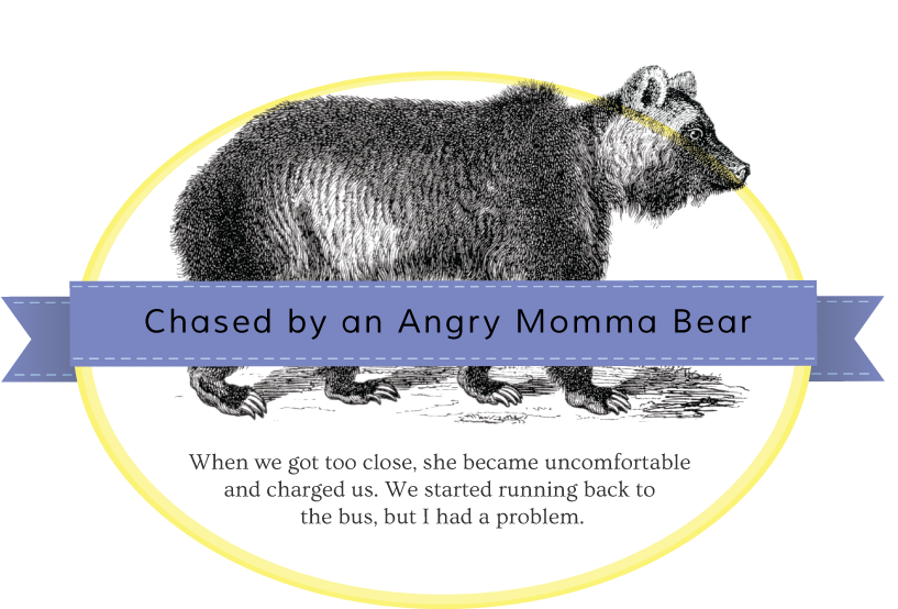 momma-bear-badge