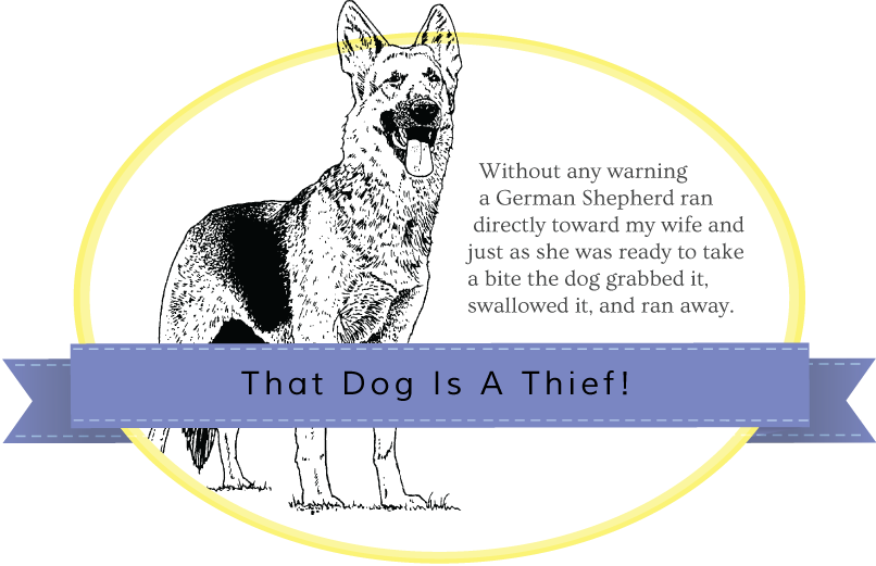 german shepard, That Dog Is A Thief story banner