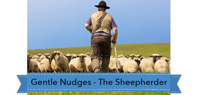 sheepherder