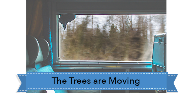 The-trees-are-moving