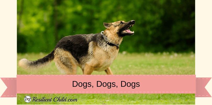 Not-Smart-Enough-for-College-2022-06-06T222844.241