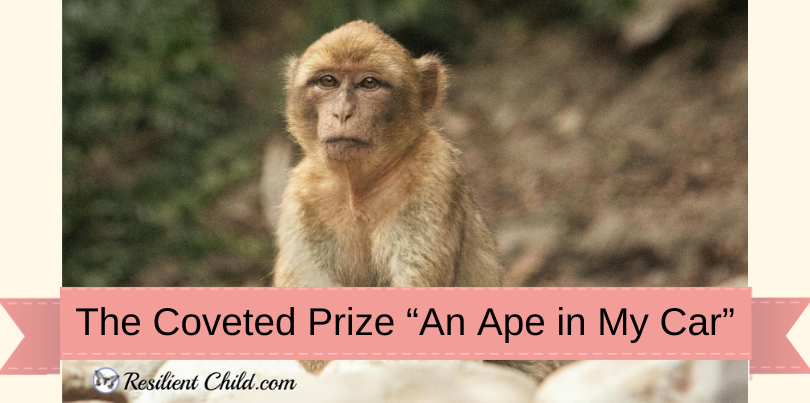 Banner (18) Banner (18)